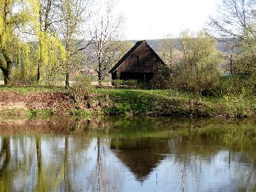 Skupinov foto